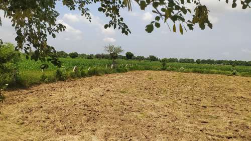 Agricultural Land for Sale