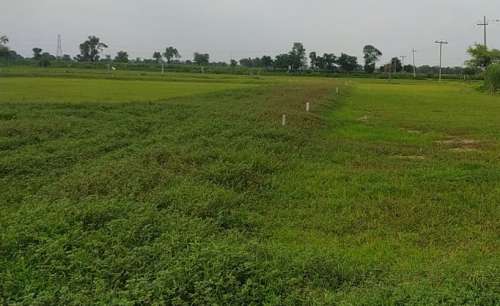 Residential Plot for Sale in Bolni,  Rewari, Haryana