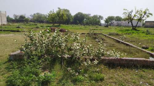 Residential Plot for Sale in Param Colony,  Rewari, Haryana