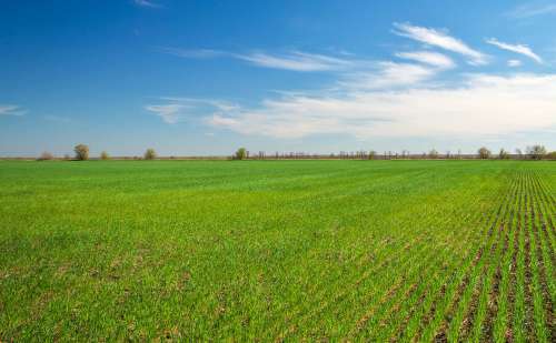 Agricultural Land for Sale