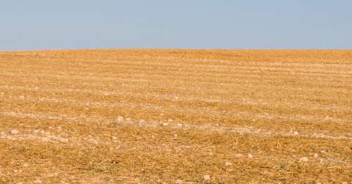 Agricultural Land for Sale