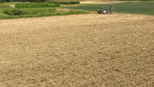 Agricultural Land for Sale