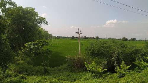 Agricultural Land for Sale